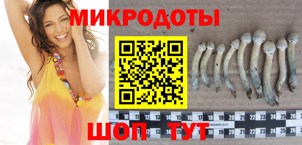 Гурьевск  Галлюциногенные грибы Cubensis  Вход с VPN 