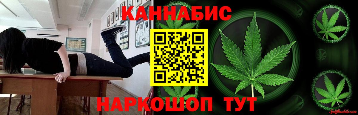Бошки марихуана OG Kush Гурьевск